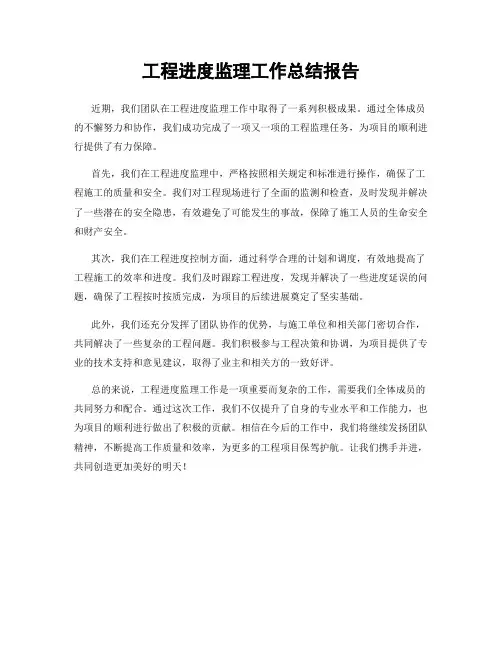 工程进度监理工作总结报告