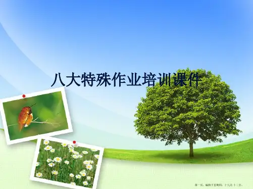 八大特殊作业培训课件PPT课件