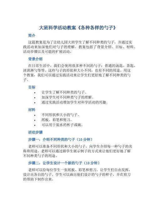 大班科学活动教案《各种各样的勺子》