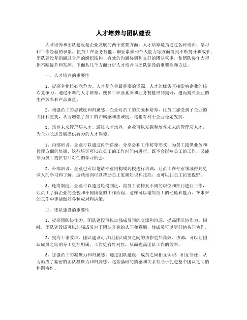 人才培养与团队建设