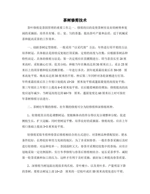 茶树修剪技术