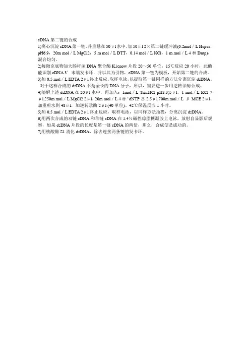 cDNA双链合成