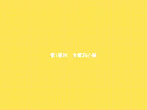 2018北师大版生物七年级下册9.2《血液循环》(第1课时)ppt课件