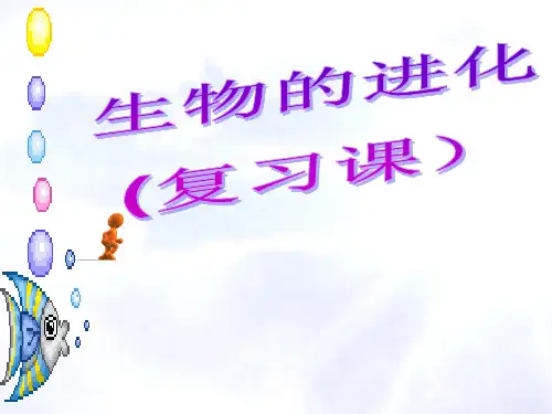 我生物的进化复习课