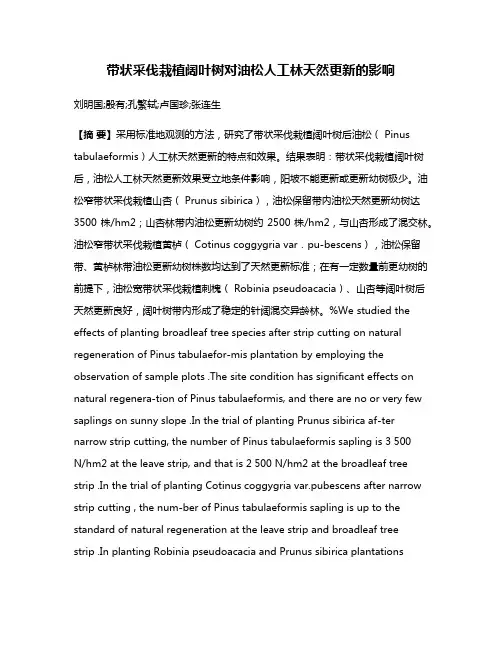 带状采伐栽植阔叶树对油松人工林天然更新的影响