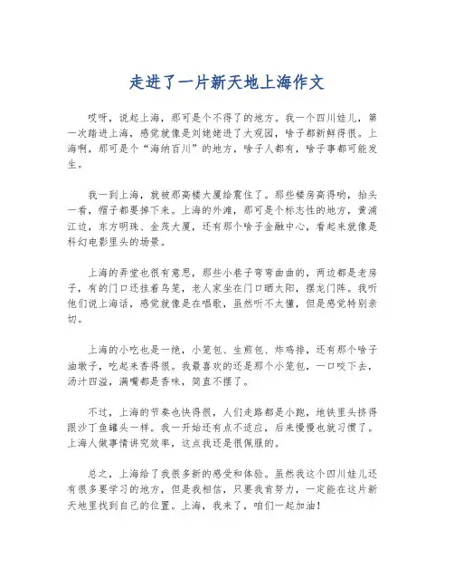 走进了一片新天地上海作文