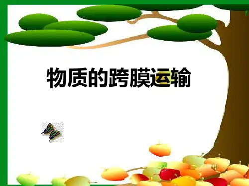 物质跨膜运输的方式