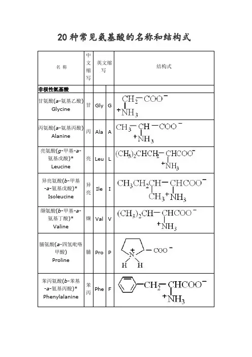 种常见氨基酸的名称和结构式