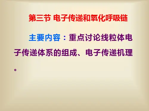 第三节 电子传递和氧化呼吸链PPT课件