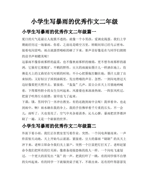 小学生写暴雨的优秀作文二年级