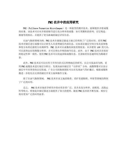 FMI在井中的应用研究