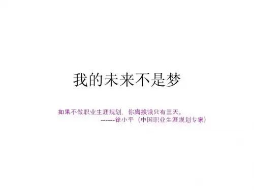 放飞梦想大学生职业生涯规划
