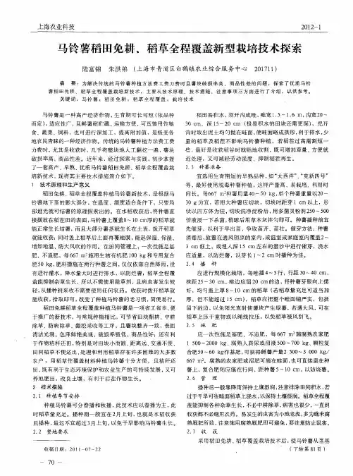 马铃薯稻田免耕、稻草全程覆盖新型栽培技术探索
