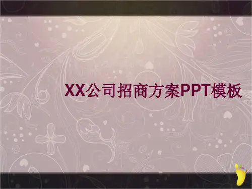 XX公司招商方案PPT模板