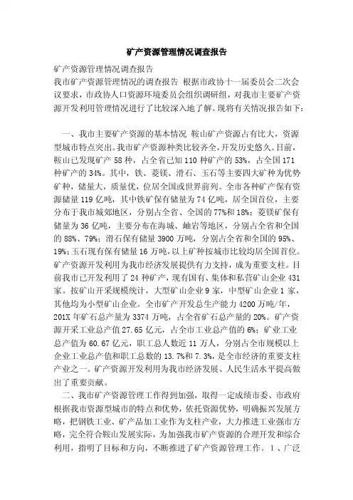 矿产资源管理情况调查报告（完整版）