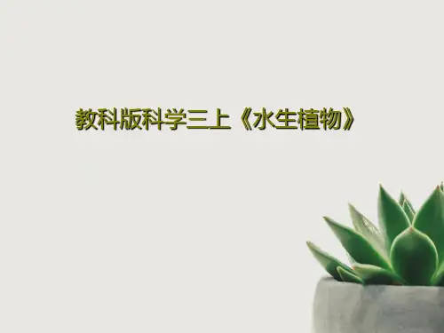 教科版科学三上《水生植物》57页PPT