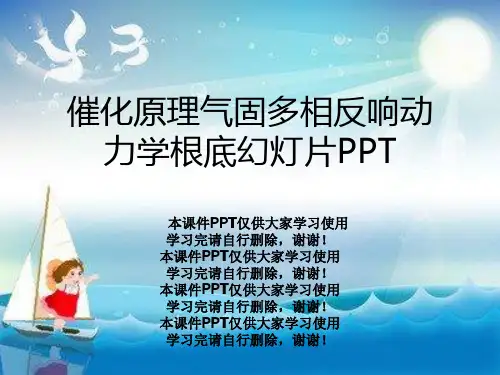 催化原理气固多相反应动力学基础幻灯片PPT