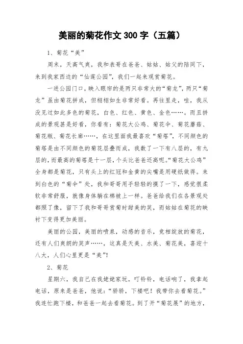 美丽的菊花作文300字(五篇)_作文