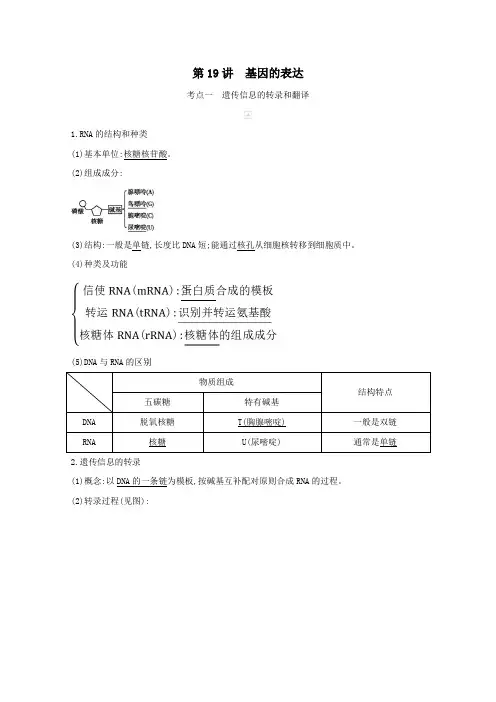 2021高考生物一轮复习第六单元第19讲基因的表达教案新人教版