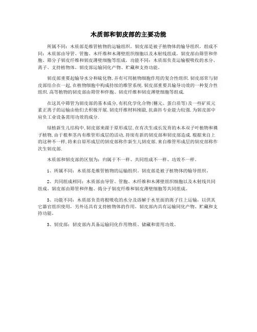 木质部和韧皮部的主要功能