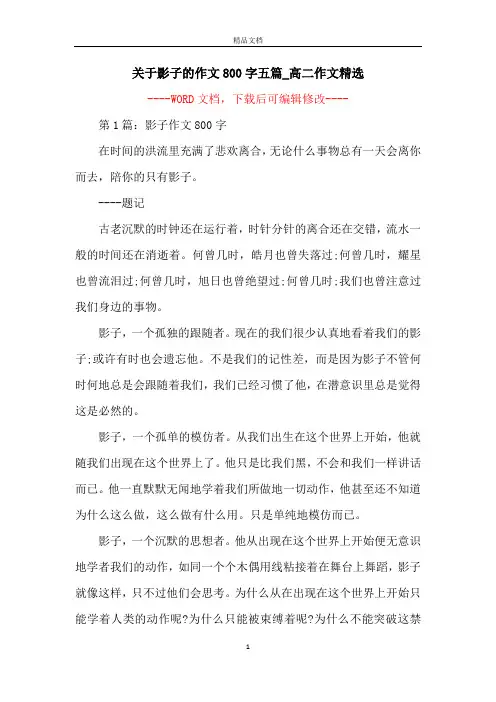关于影子的作文800字五篇_高二作文精选