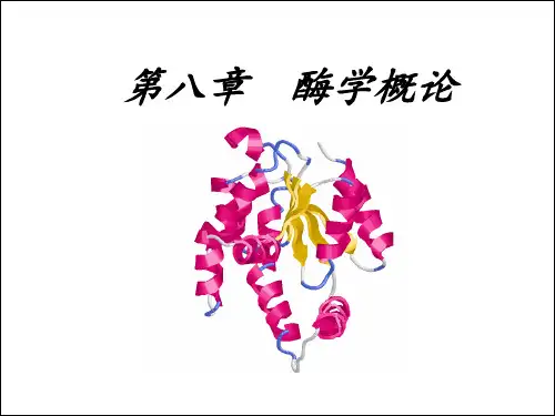 杨荣武生物化学第八章 酶学概论