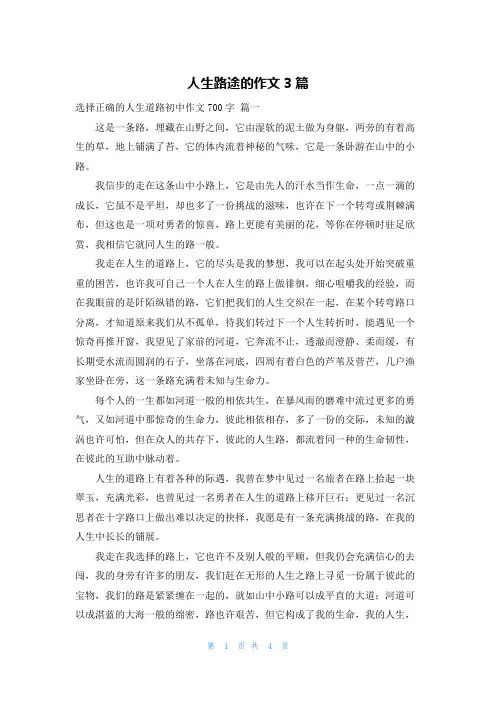 人生路途的作文3篇