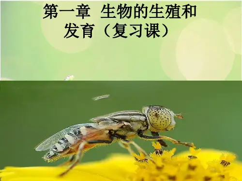 八年级下册第一章生物的生殖和发育ppt课件