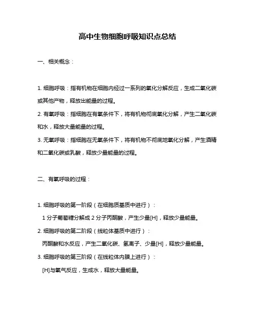 高中生物细胞呼吸知识点总结