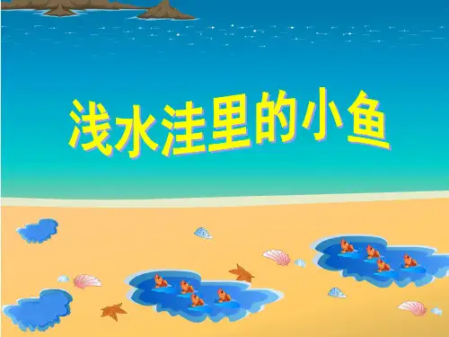 二年级语文上《识字728 浅水洼里的小鱼》516PPT课件 一等奖名师公开课比赛优质课评比试讲