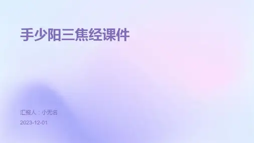 手少阳三焦经课件