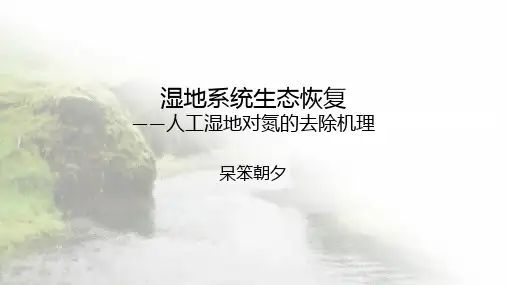 湿地系统生态恢复——人工湿地对氮的去除机理