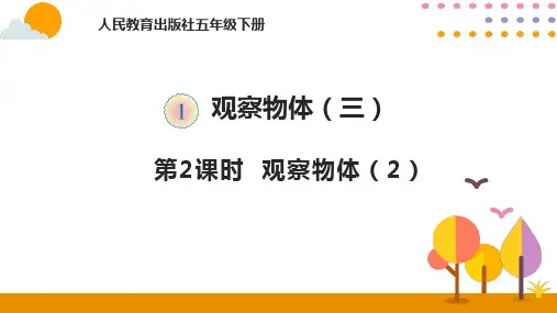 人教版《观察物体(三)》(完美版)PPT课件1