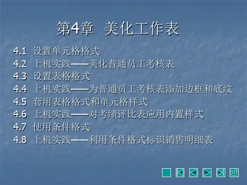 《Excel基础与应用精品教程(2007版)》教学课件 第4章  美化工作表