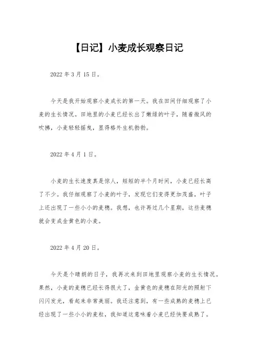 【日记】小麦成长观察日记
