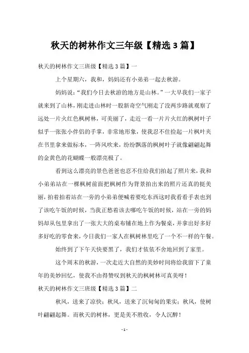 秋天的树林作文三年级【3篇】