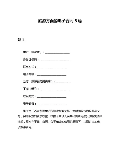 旅游方面的电子合同5篇