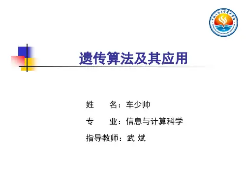 遗传算法论文答辩