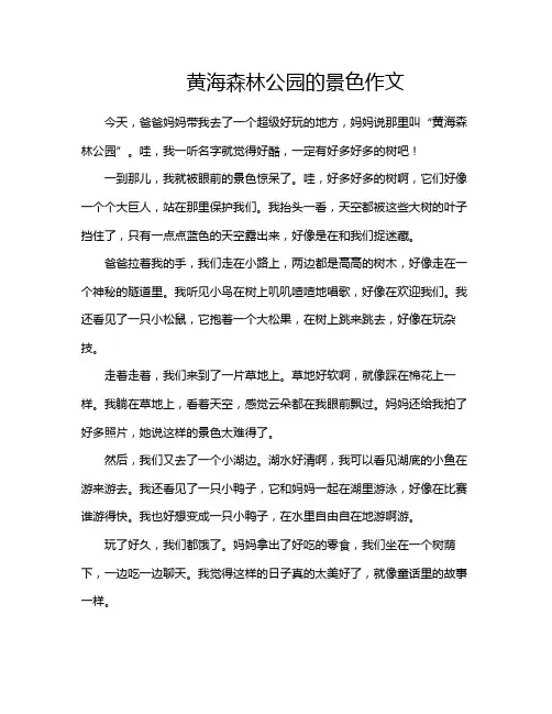 黄海森林公园的景色作文