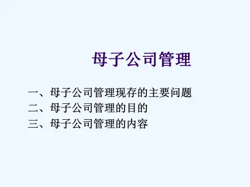 母子公司管理的目的及内容