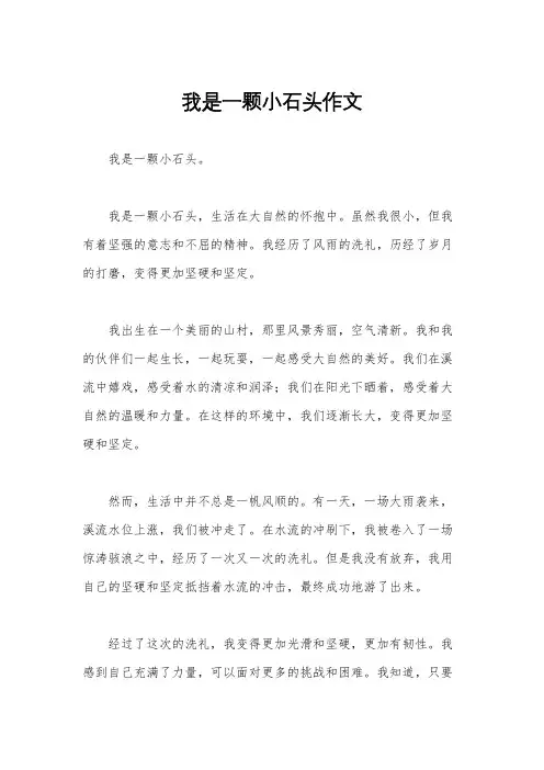 我是一颗小石头作文