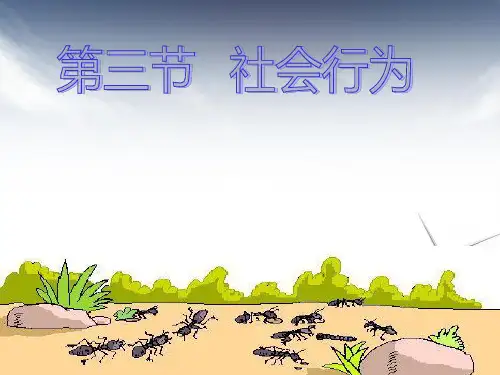 第三节社会行为ppt课件