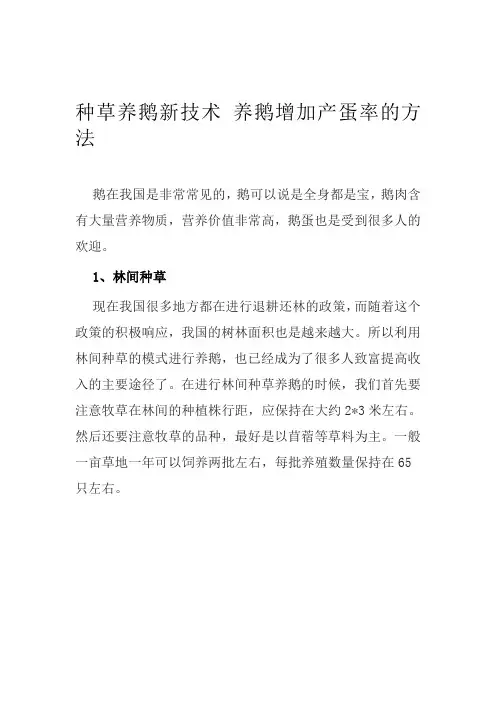 种草养鹅新技术 养鹅增加产蛋率的方法