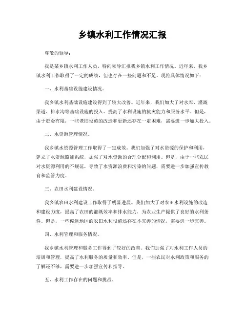 乡镇水利工作情况汇报