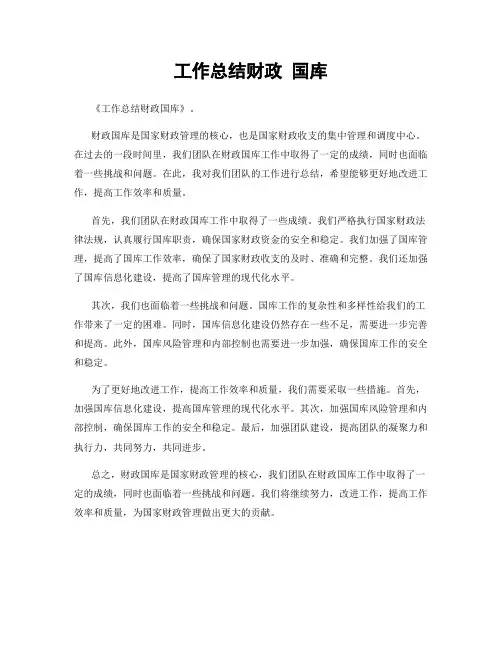 工作总结财政 国库