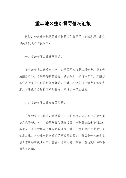 重点地区整治督导情况汇报