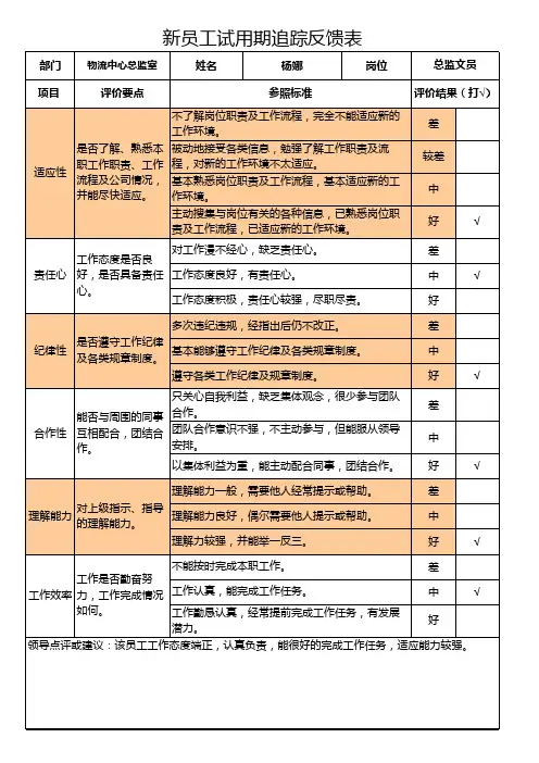 新员工试用期追踪反馈表(杨娜)