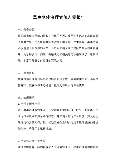 黑臭水体治理实施方案报告