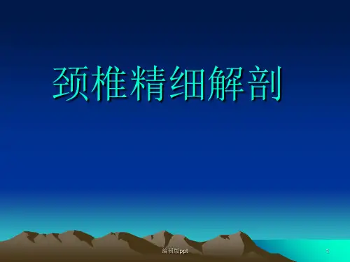 颈椎解剖PPT课件