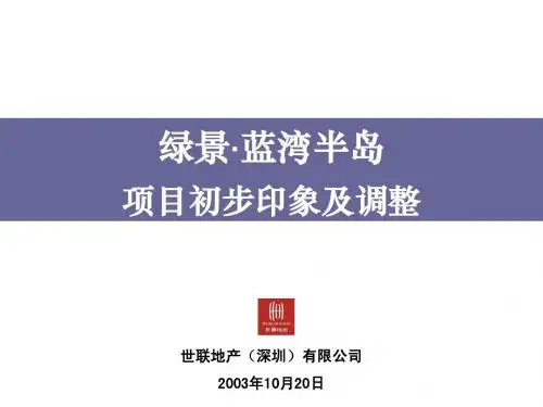 深圳_绿景蓝湾半岛_策略调整_项目印象及调整